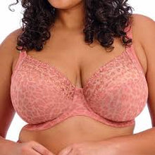 Load image into Gallery viewer, Elomi Matilda Plunge Underwire with J-Hook #8900 ROSE LEOPARD