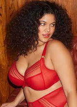 Load image into Gallery viewer, Elomi Matilda Plunge Underwire with J-Hook #8900 RED
