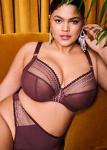 Load image into Gallery viewer, Elomi Matilda Plunge Underwire with J-Hook #8900 Sugarplum
