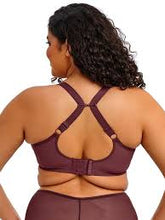 Load image into Gallery viewer, Elomi Matilda Plunge Underwire with J-Hook #8900 Sugarplum
